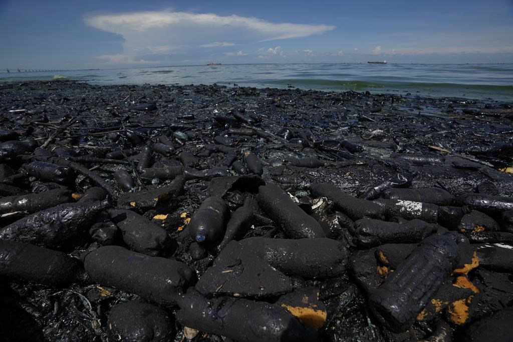 Pollution In Venezuela S Lake Maracaibo Threatens Life In One Of The