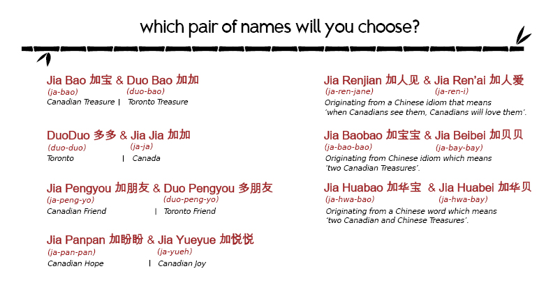 Chinese Names For Panda