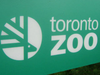 toronto zoo