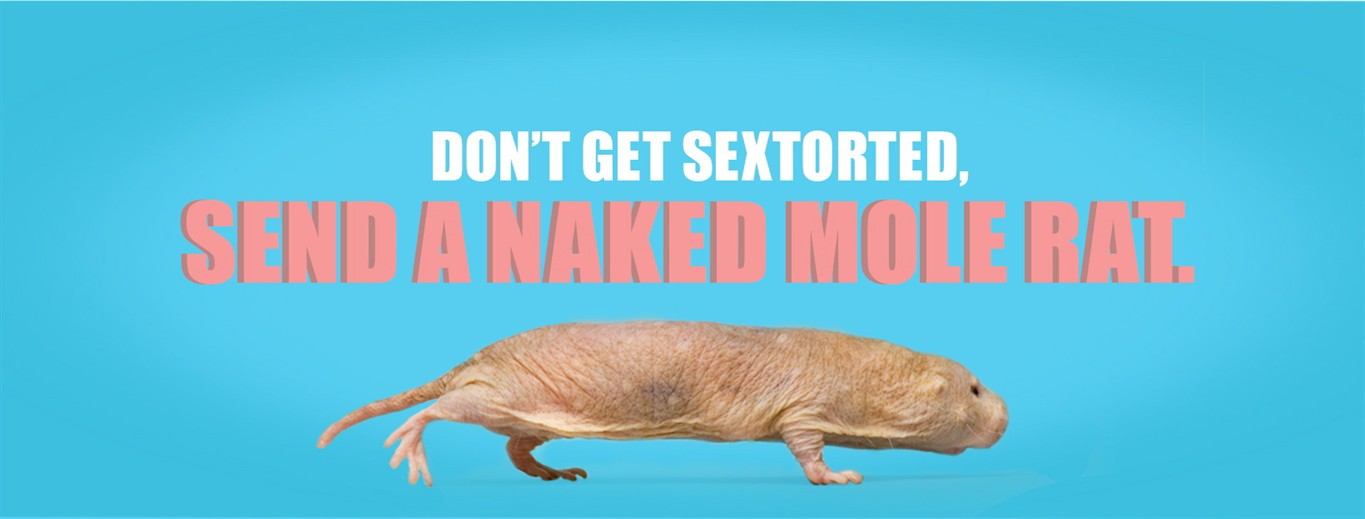 Send naked mole rat memes instead of nude photos, child.