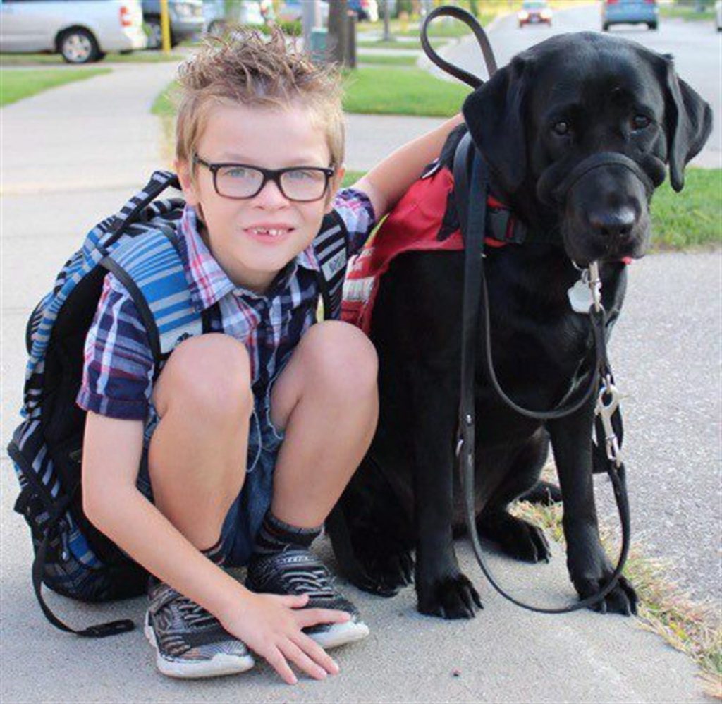 Province says Ontario school boards must develop policies for students' service animals