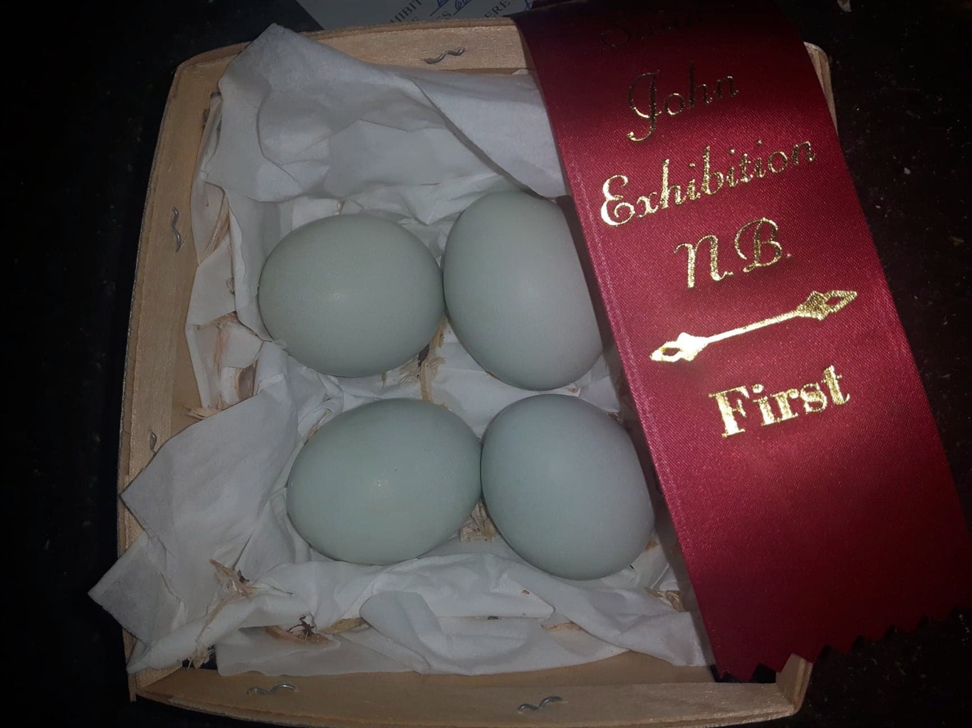 nb 680 egg