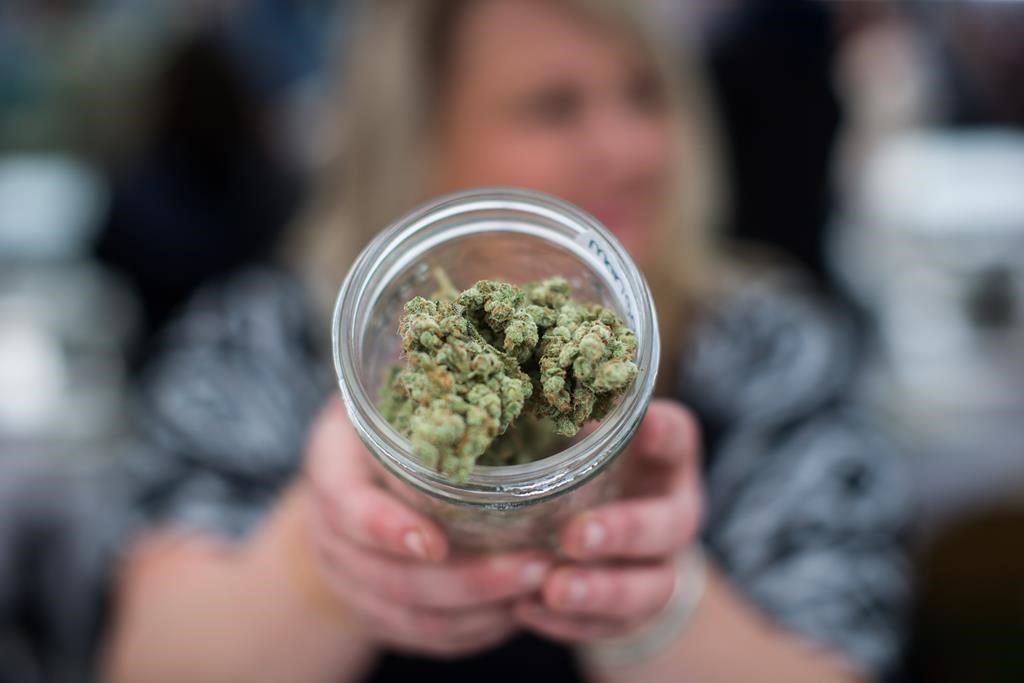 Ontario Cannabis Store was government body with most complaints to the ombudsman