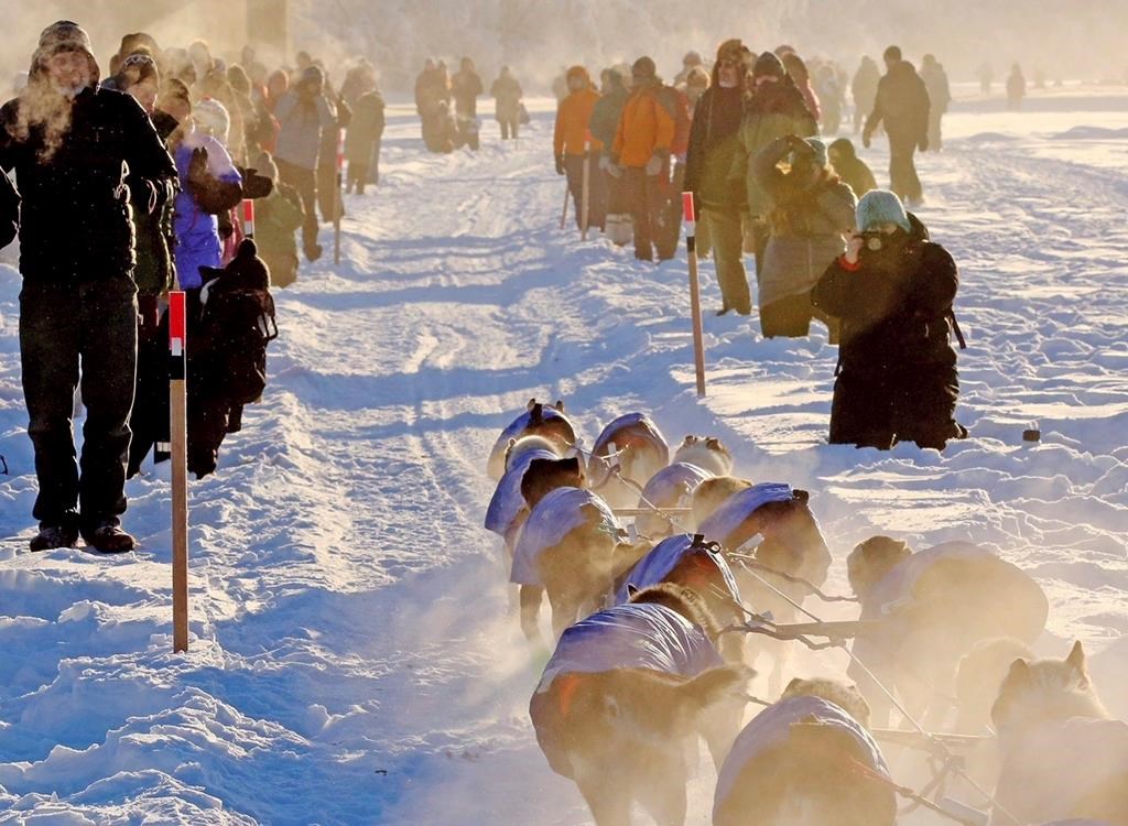 Gruelling 1,600 km Yukon Quest dog sled race starts in Whitehorse