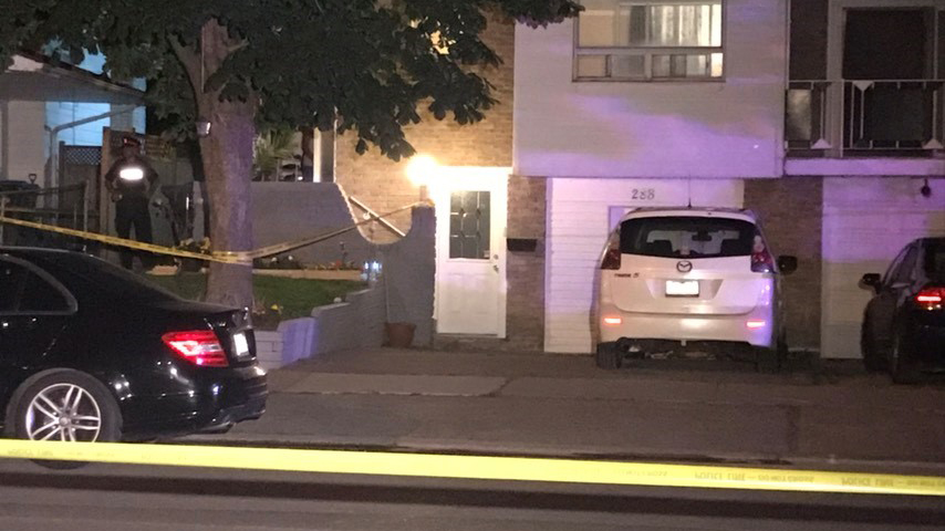 Man dead, suspect arrested in Brampton stabbing  CityNews Toronto