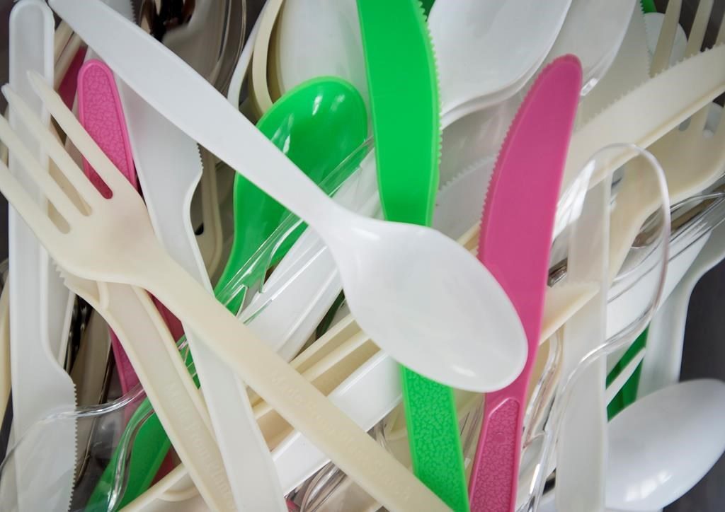 Canada's restaurant industry adjusting to single-use plastics ban