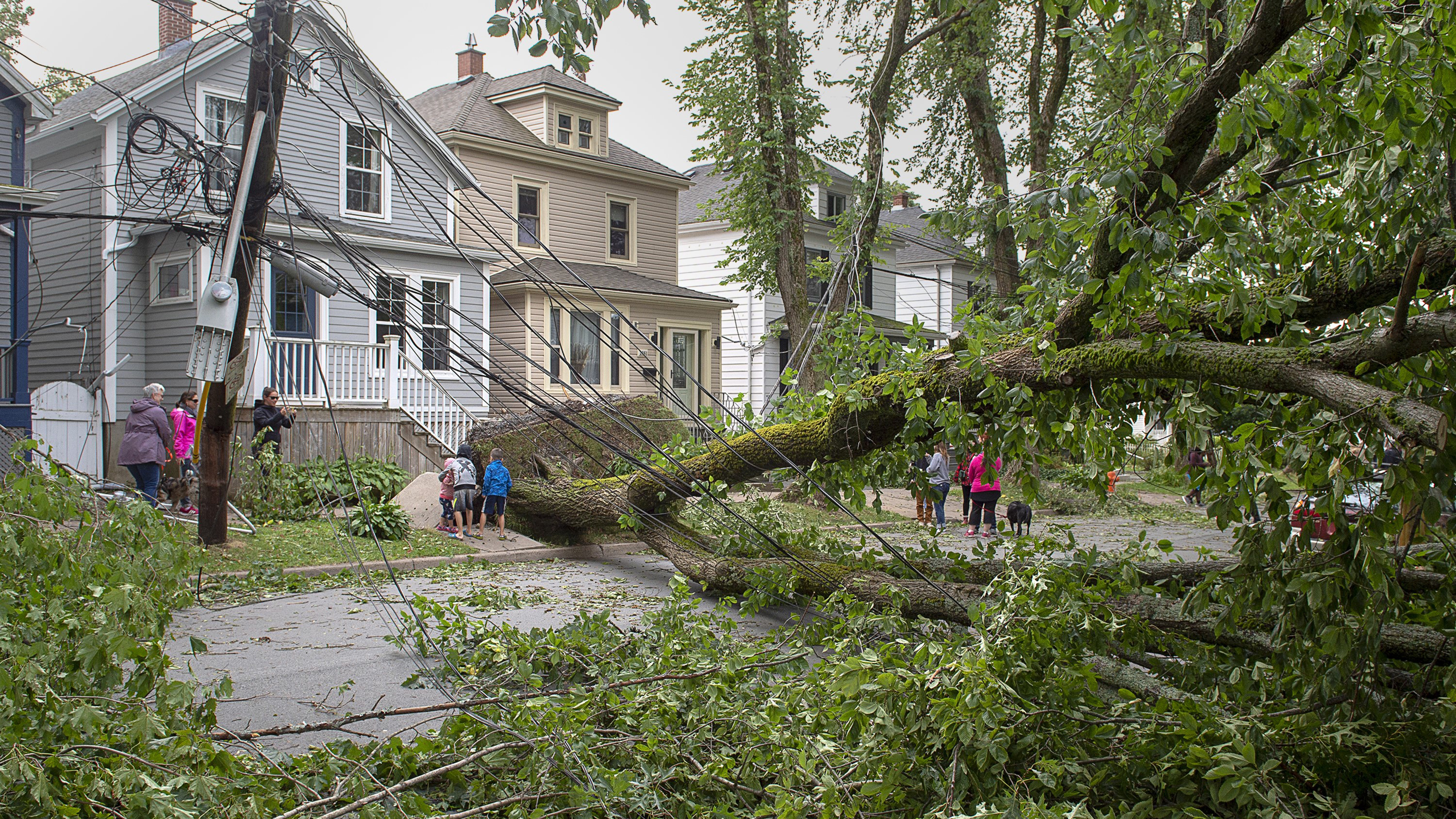 'Beast of a storm' Dorian knocks out power to much of the Maritimes