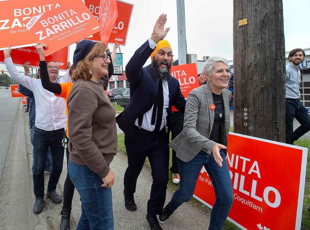 Elections Canada Recount In B.C. Riding Terminated At NDP Candidate's ...