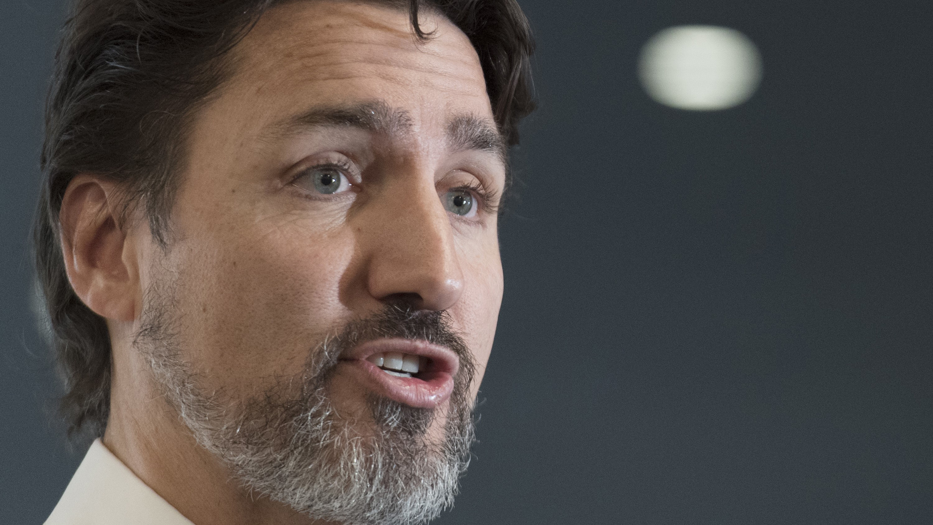 Trudeau 'Deliberate process' underway to get Canadians out of virus