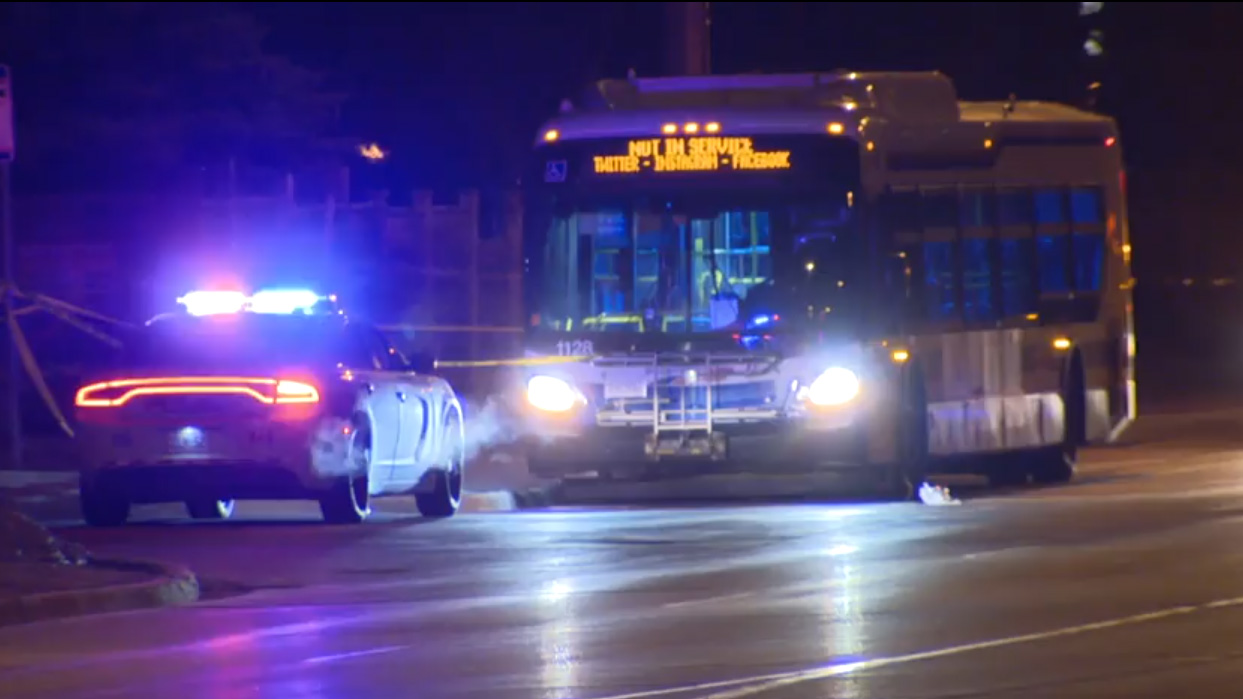 Man in his 50s shot aboard transit bus in Brampton  CityNews Toronto