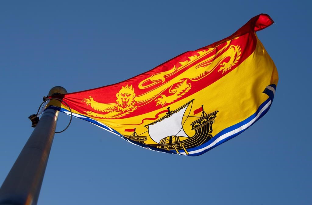 Flying flag. Флаг Нью-Брансуика. Флаг Брунсвика. Beijing Province Flag.