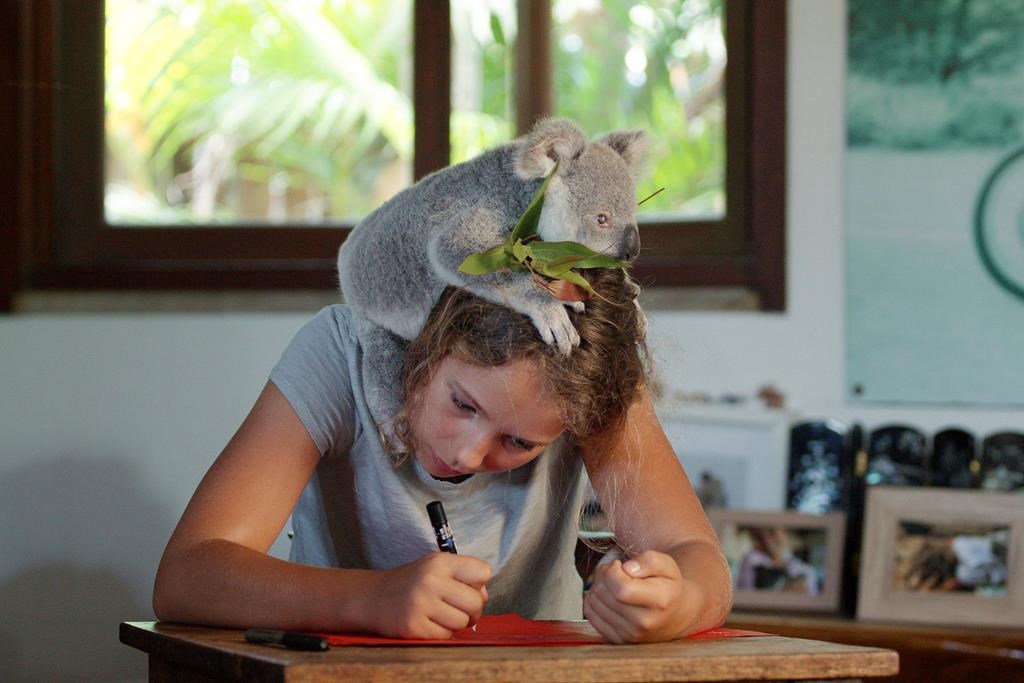 New Netflix series features an 11-year-old 'koala whisperer