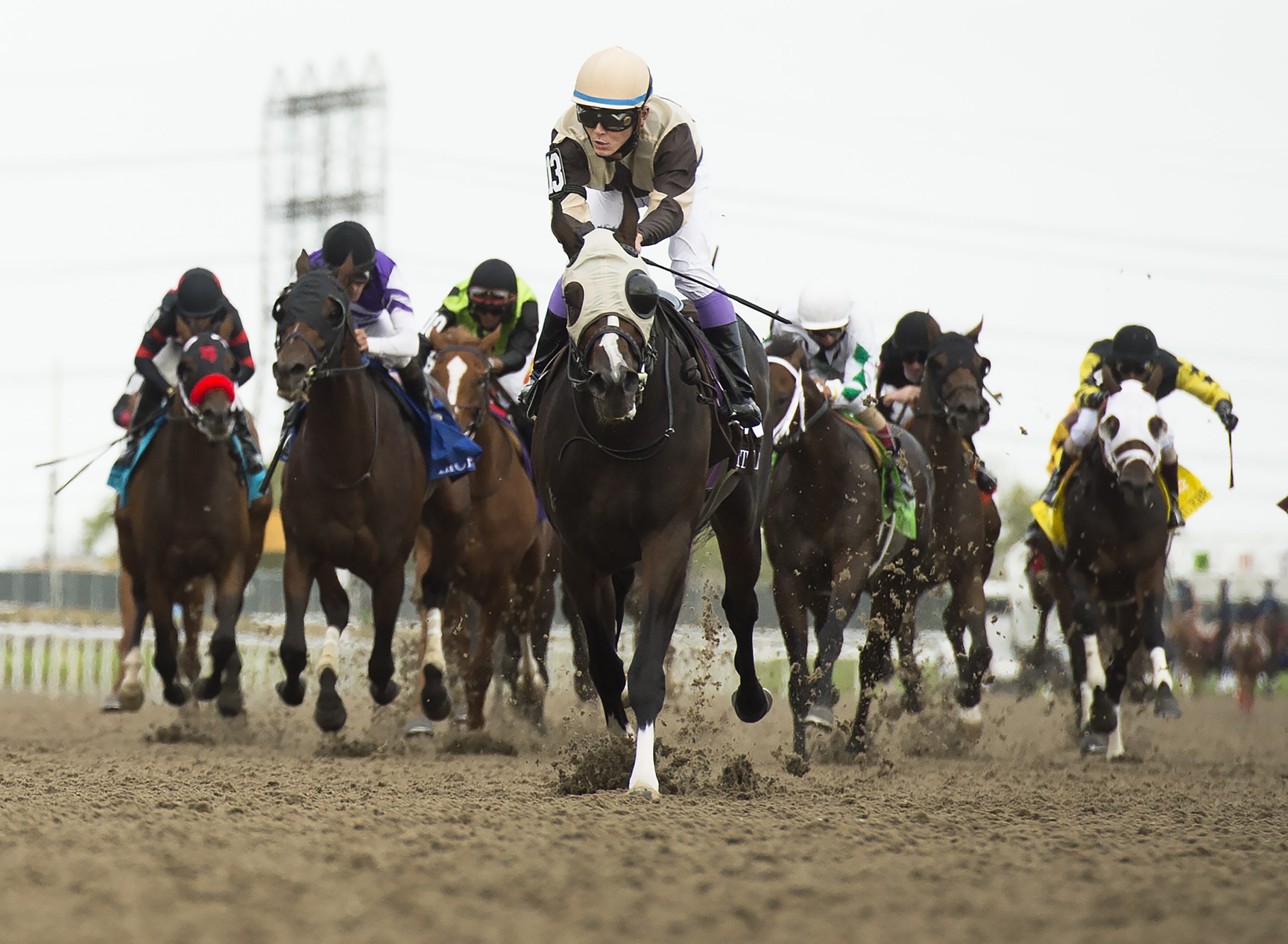 Woodbine Racetrack ends horse racing season following Toronto lockdown | CityNews Toronto