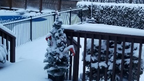 Wintry Weather Brings A White Christmas To The Gta Citynews Toronto