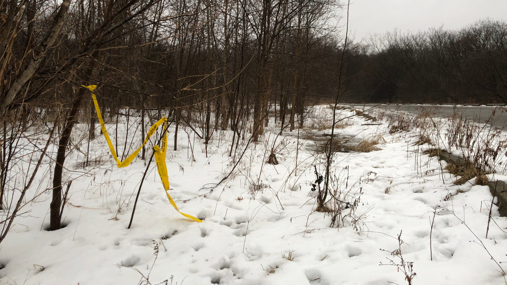 Kings Mill Park Homicide 