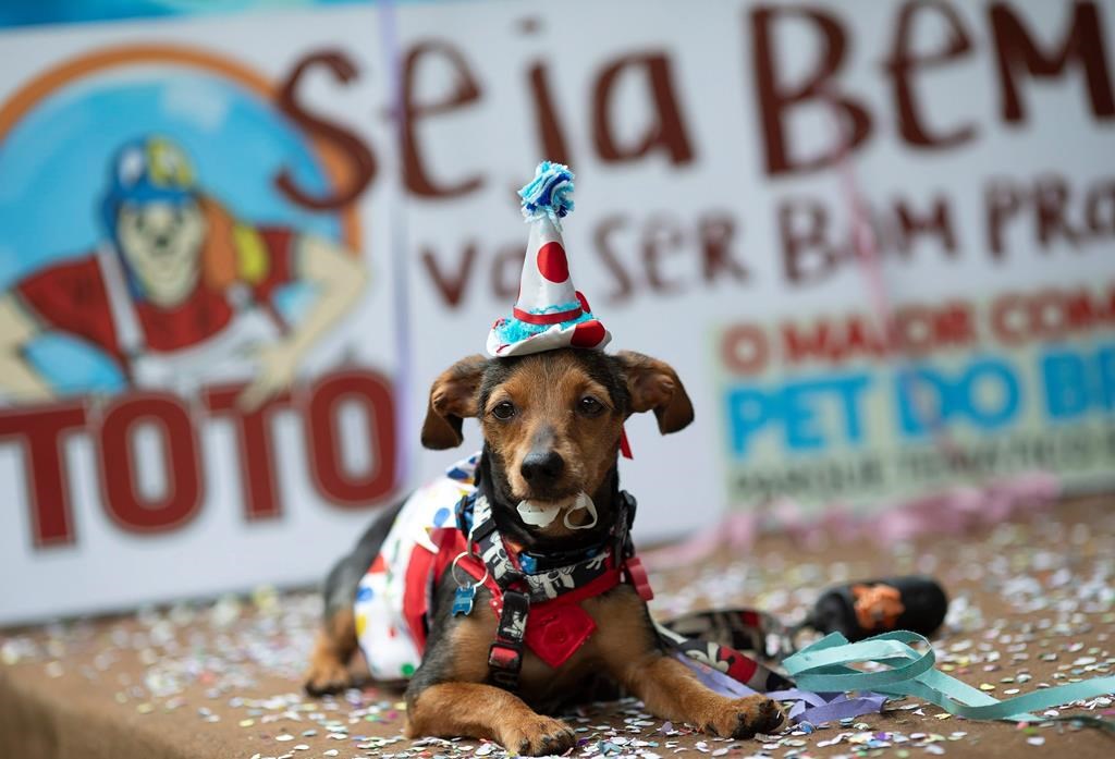 Rio de Janeiro is betting on Carnival for 'cooler' parties – and a better  Brazil