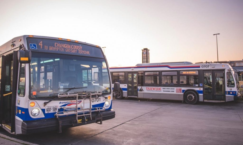 brampton transit