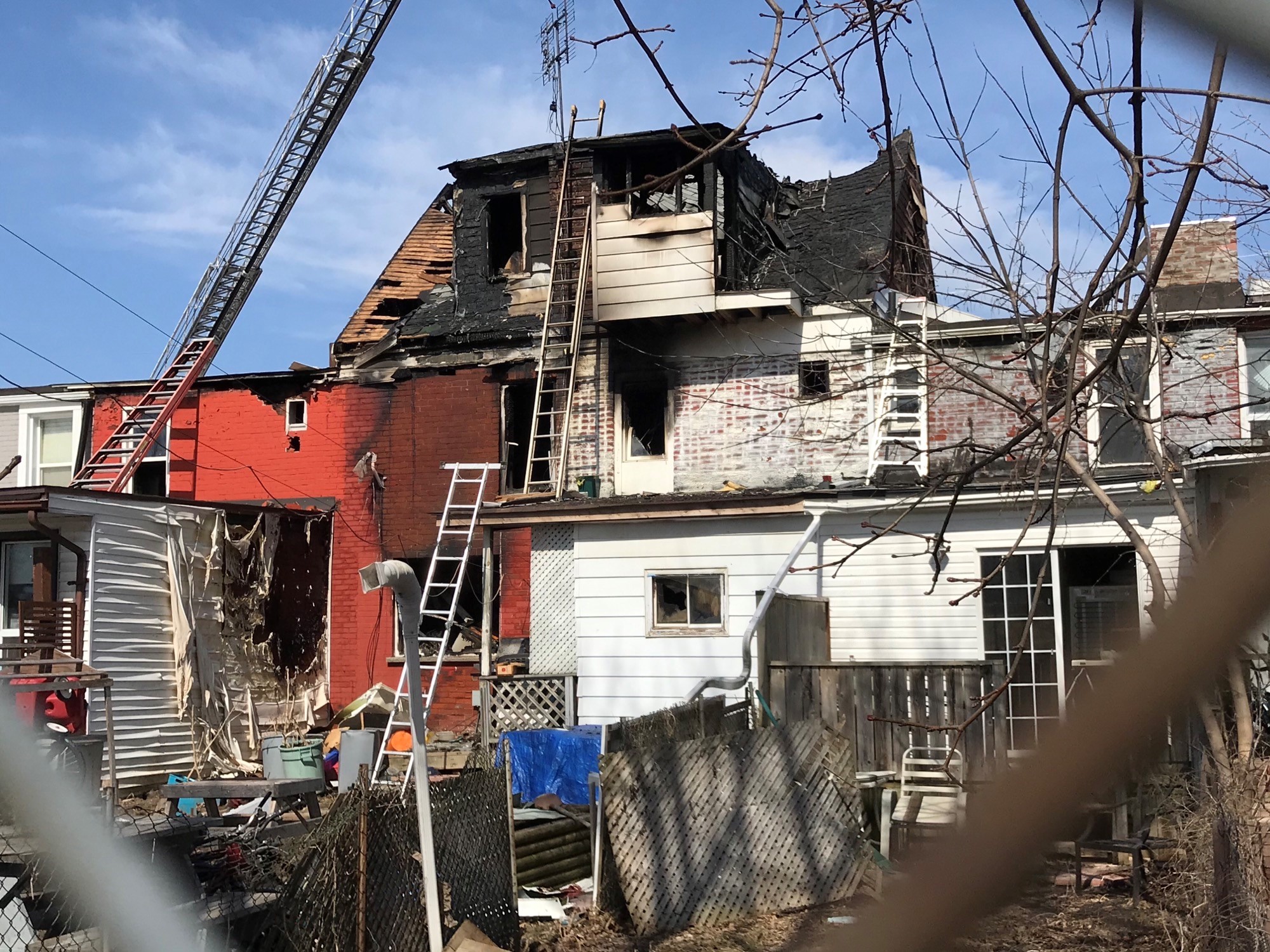 Oshawa Fire / Dogs Rescued From Oshawa Fire The Chronicle