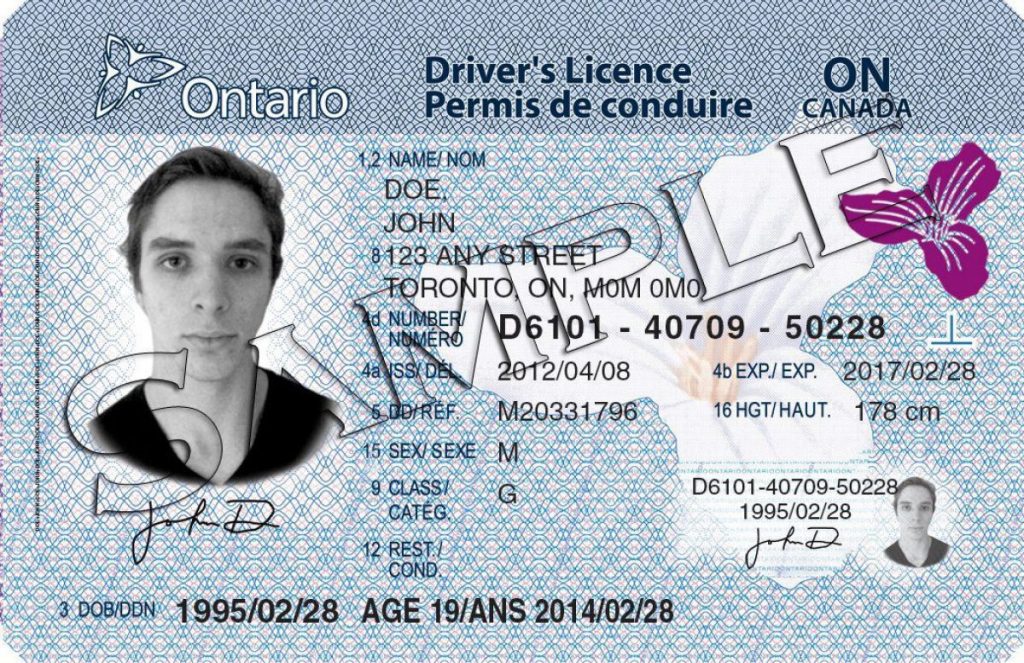 drivers permit test ontario