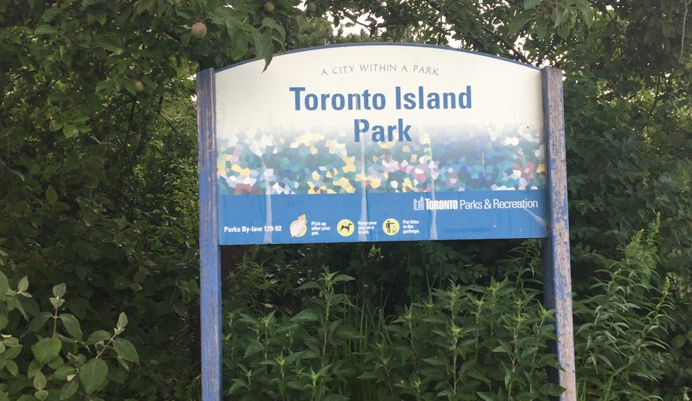 City staff present Toronto Island Park master plan