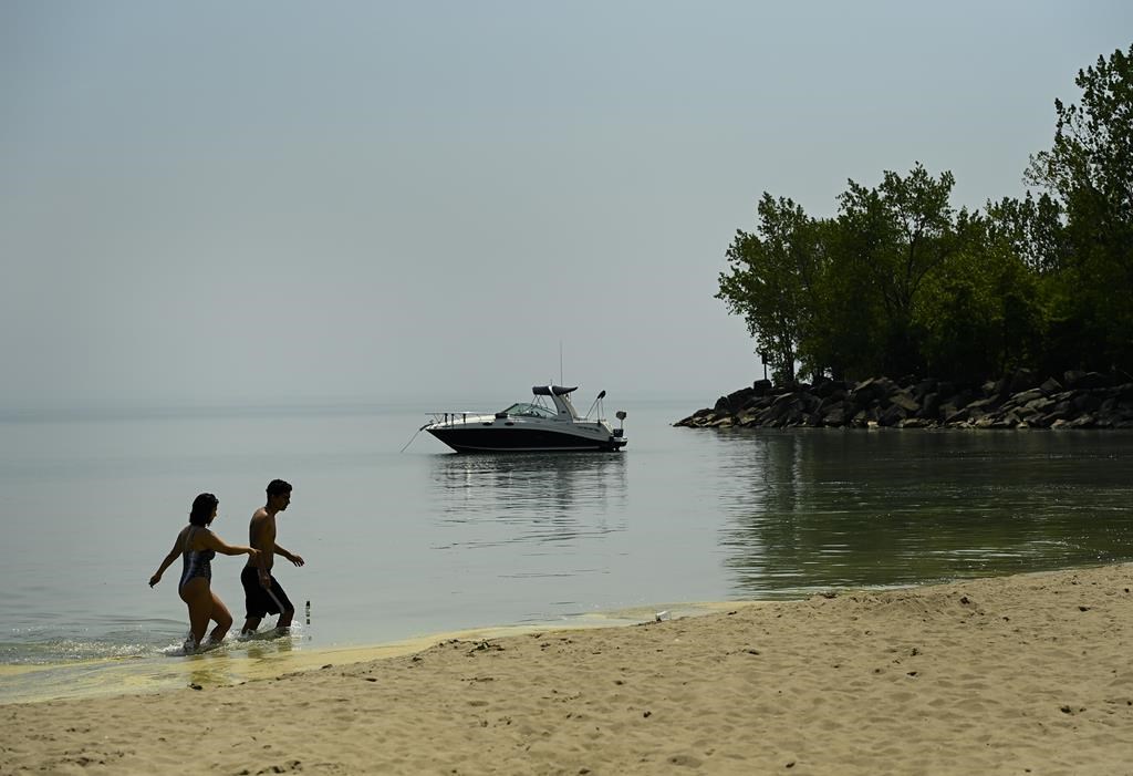 Some Toronto beaches now deemed safe for swimming after E. coli levels drop