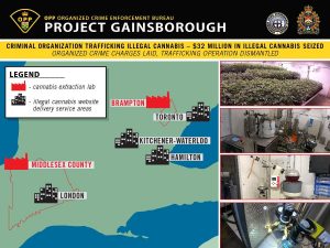 project gainsborough