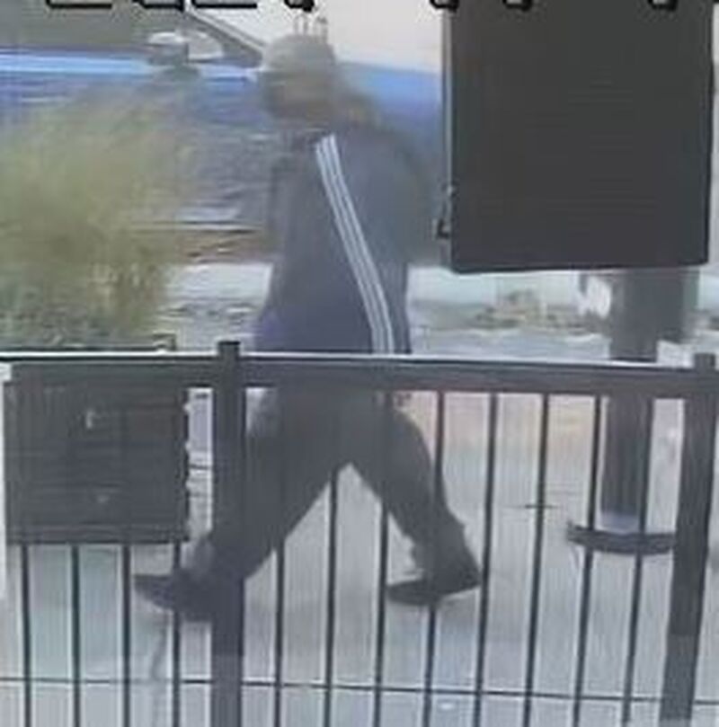 robberysuspect purse suspect
