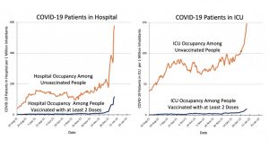 FIglN8qWYAUbB3m vaccine numbers