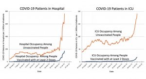 covid data