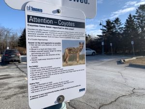 city of toronto coyote sign