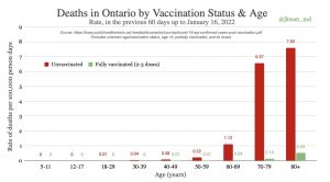 ontario vaccination rate