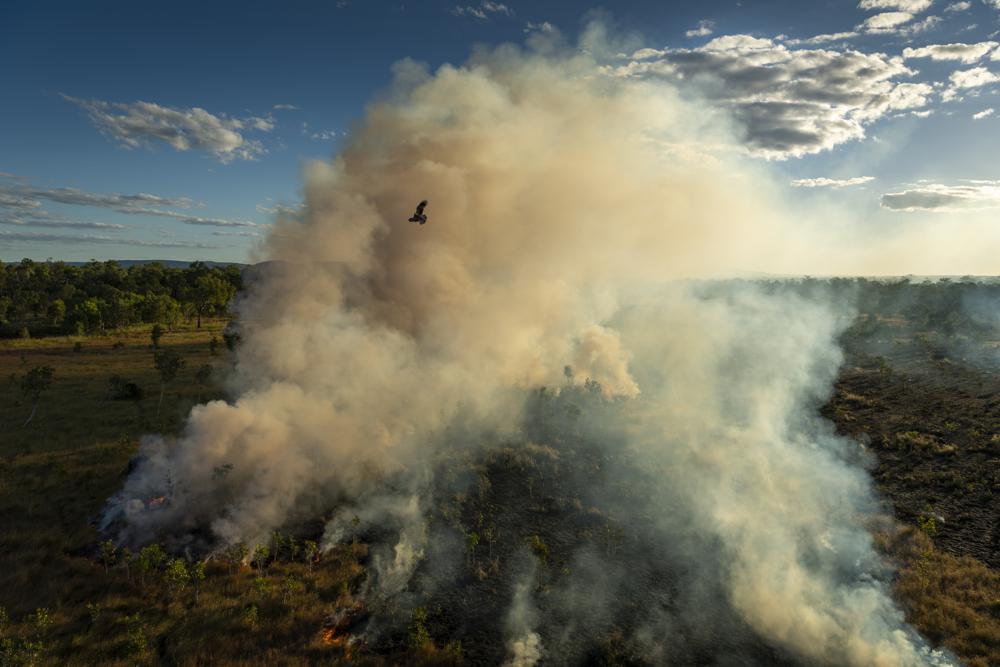 wildfires wildfires