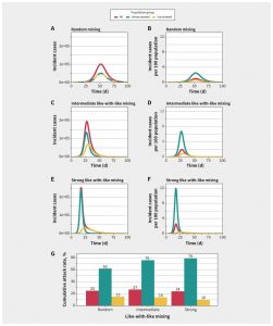 Simulated epidemics for different levels of mixing between vaccinated and unvaccinated populations