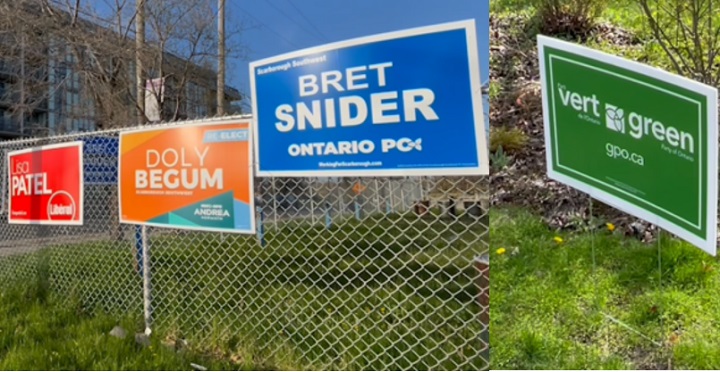 Election-signs.jpg