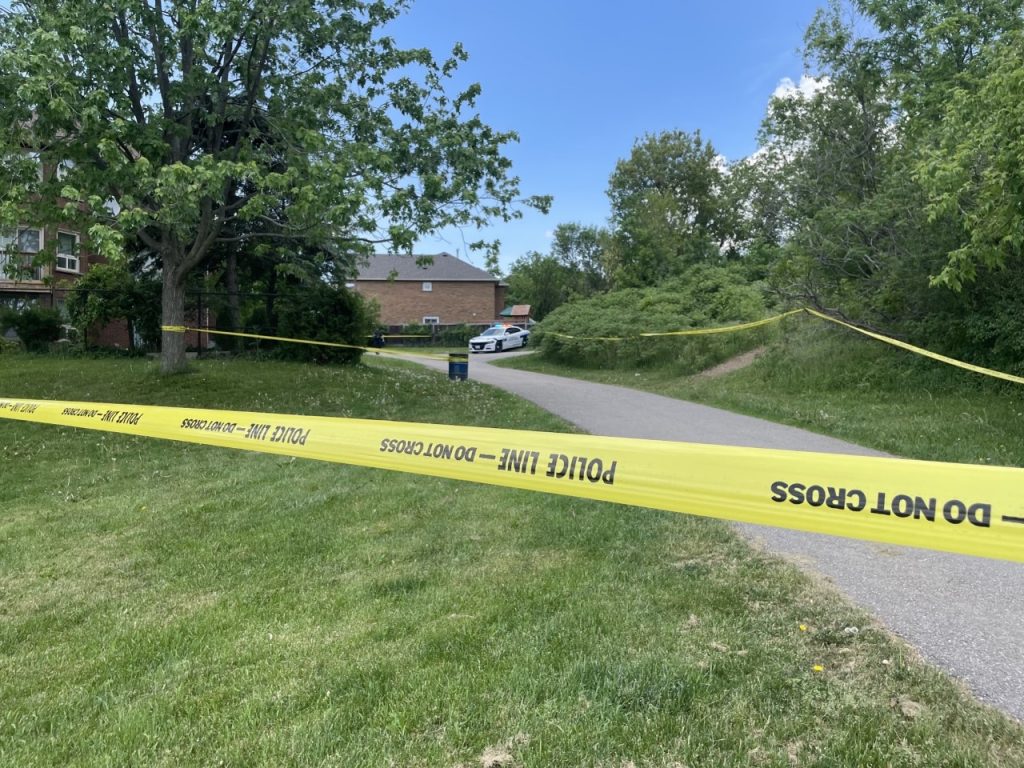 Peel police are investigating after a man was found dead from gunshot wounds near White Spruce Park in Brampton.