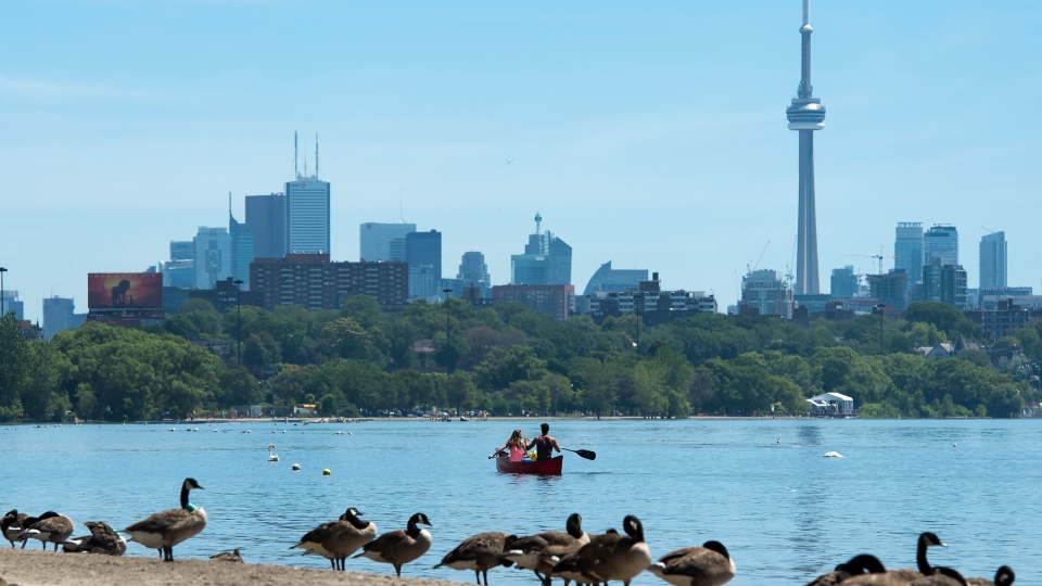 People paddle in a canoe on Lake Ontario