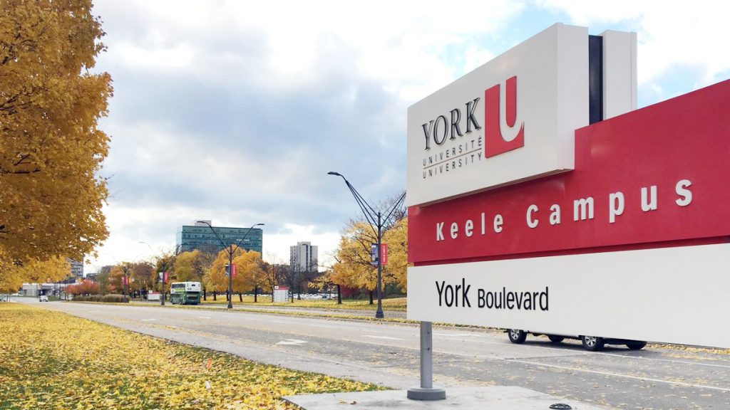 york university