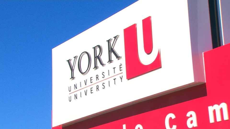 york university