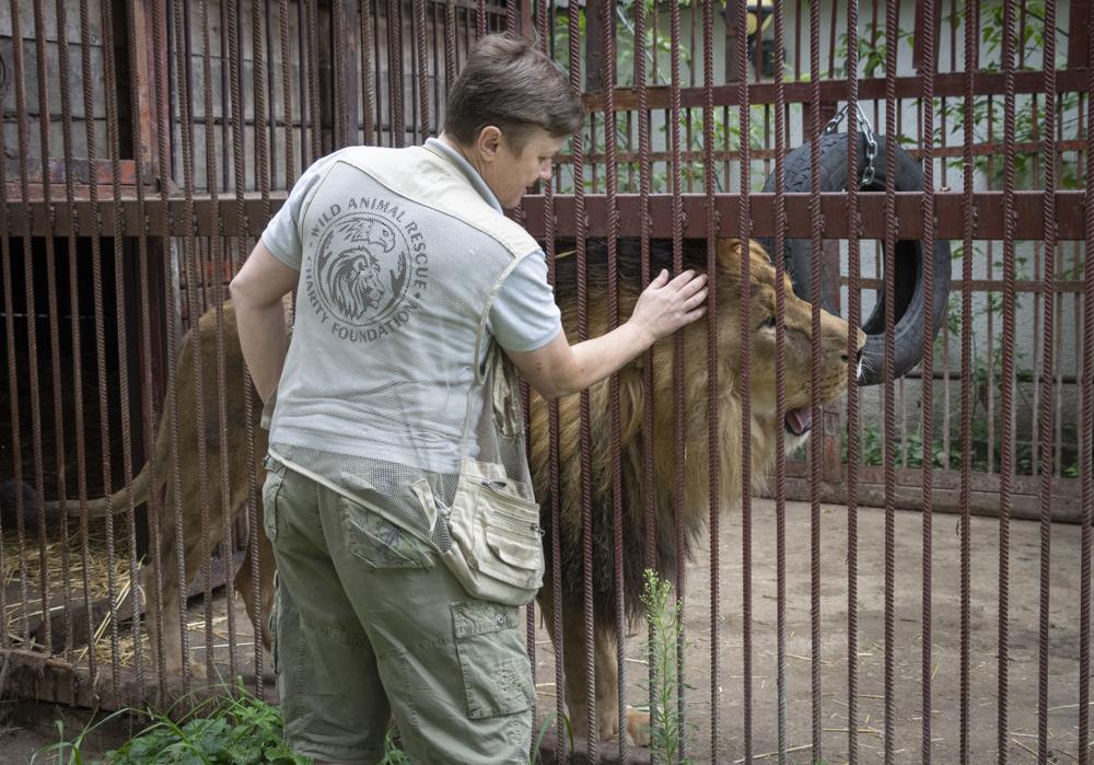 Ukrainian Risks Her Life To Rescue Wild Animals From War   Ukraine Pets 1 