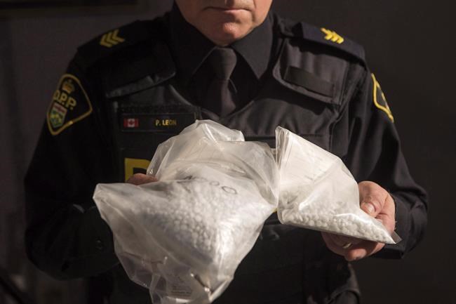 OPP officer displays bags containing fentanyl