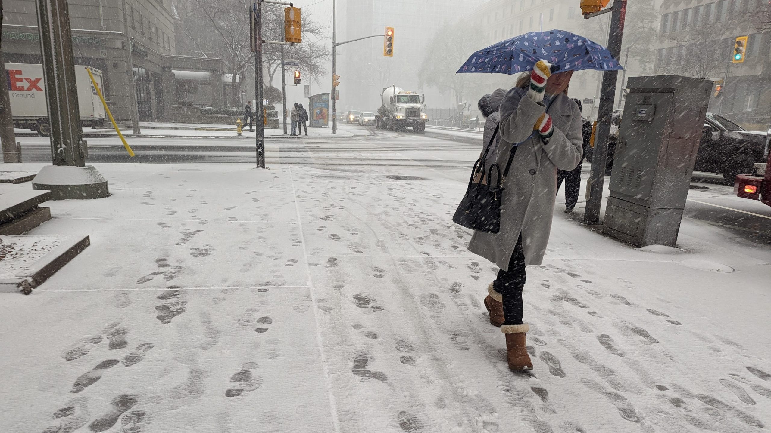 Toronto under winter weather travel advisory with up to 10 cm of snow on  the way