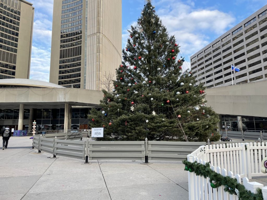 Christmas tree at Nathan Phillips Square