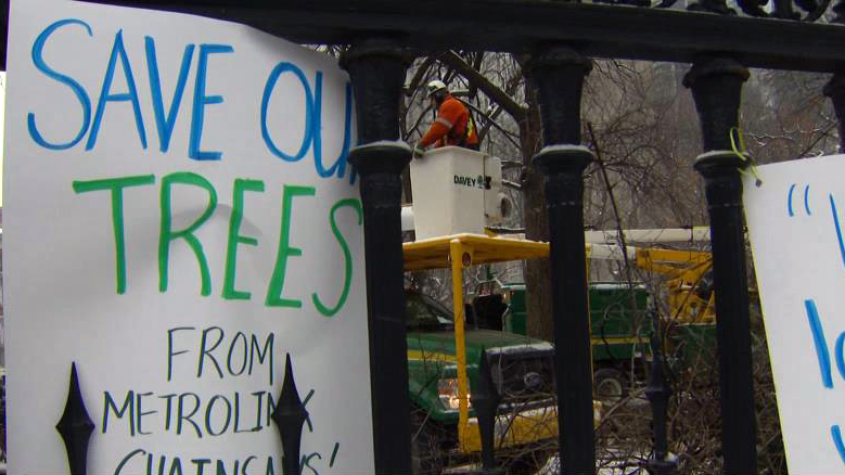 Metrolinx tree cutting on Osgoode Hall grounds paused again by courts