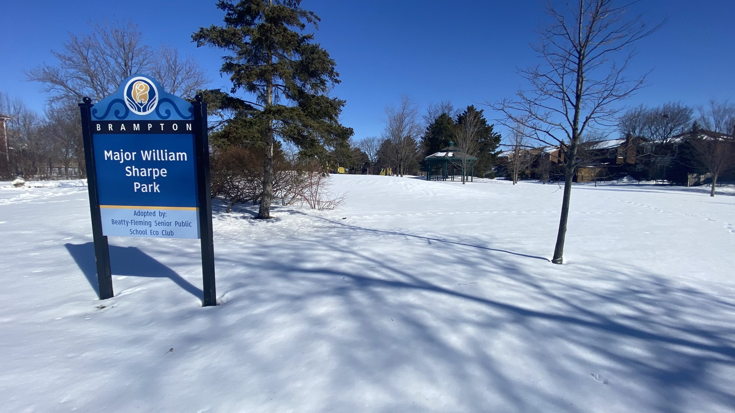 Coyote sightings force students inside at Brampton school Coyote sightings force students inside at Brampton school