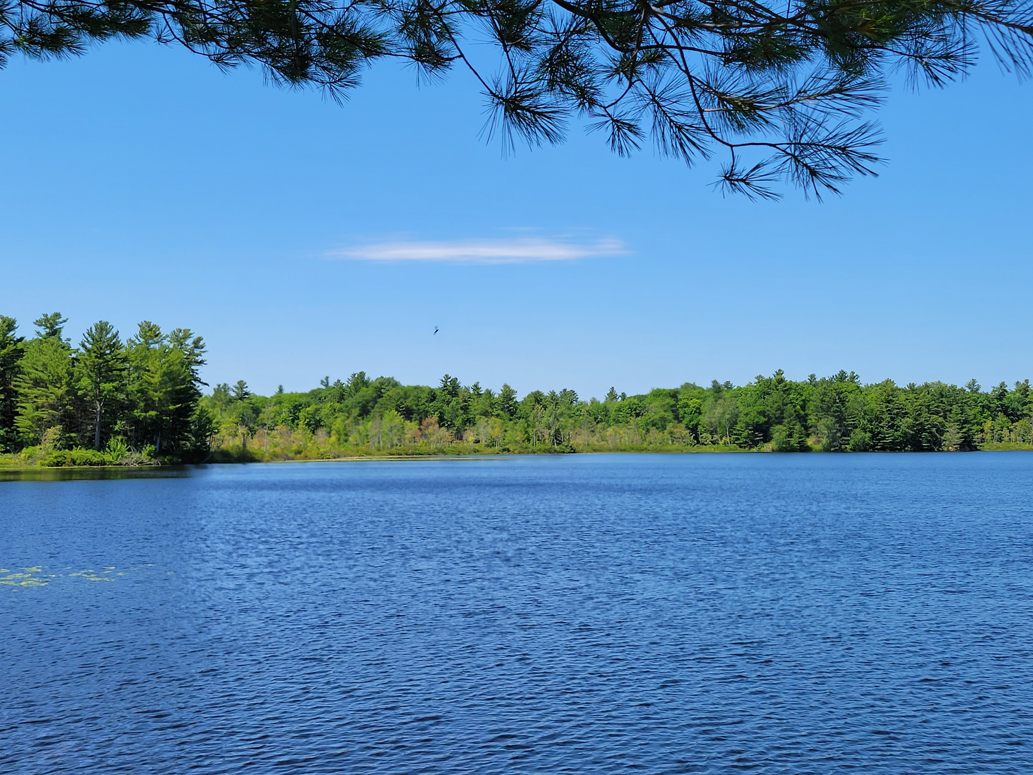 Agreement protects shoreline in memory of Toronto man