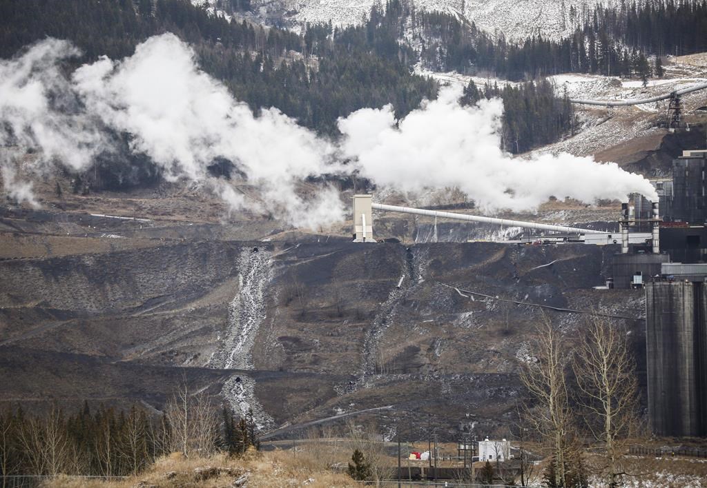 B.C. Coal Mines' Economic Impact Overstated, Thwarting Environmental ...