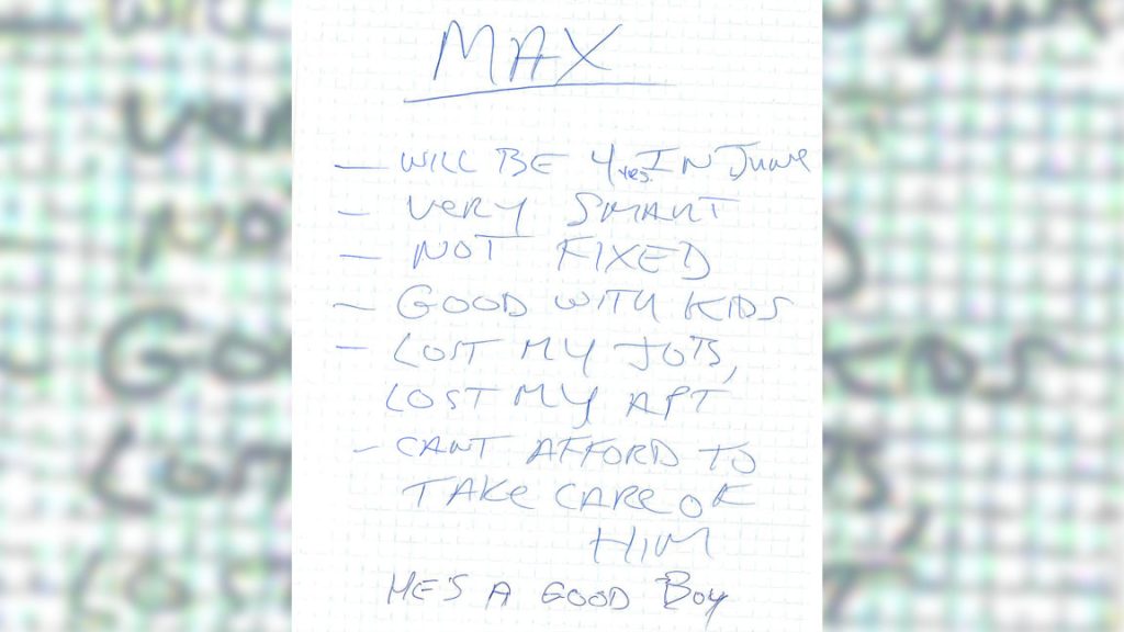 Hand written note found with abandoned dog Max