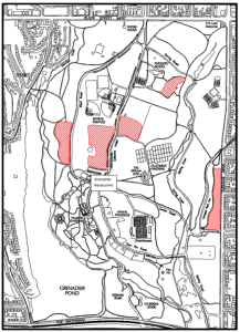 High Park prescribed burn