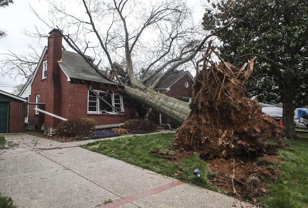 Teenagers in love among 5 lives lost in Missouri tornado