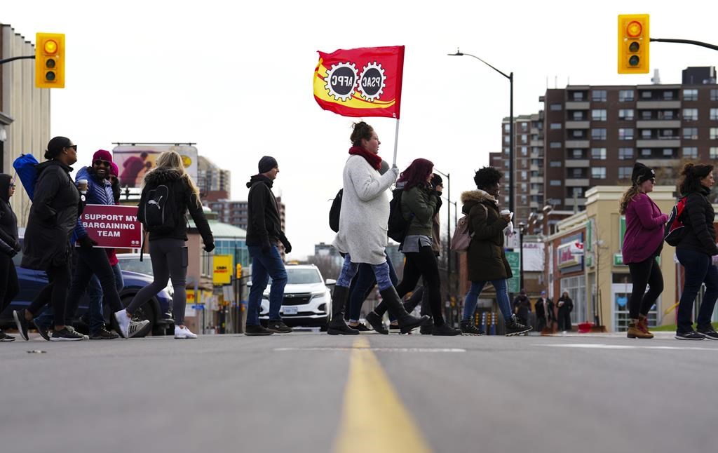 toronto.citynews.ca